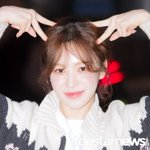 ‘완냥이도 꼭 찍어주세요’…‘그래요 완<b>람지</b>님’ (웬디의 영스트리트...