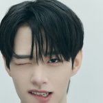 플젝7 재미로 골라본 TOP3