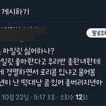 아일릿에 대한 <b>한녀</b> 평균 인식