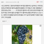 [방탈죄송] 현실에서 젊은 여성들이 아이에게 제일 <b>냉담</b>하나요??