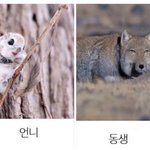 밑트임하고 만족이긴<b>한데</b>