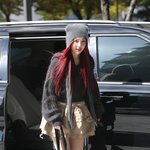 레드벨벳 조이, <b>동물</b>농장 녹화 왔어요