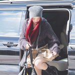  ‘햇살 받으며 등장한 초미녀’ (<b>동물</b>농장 출근길) [HD포토]