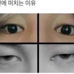 <b>예쁘장</b>한게 뭐임?