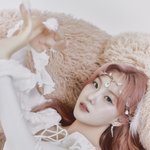 [모두드루와] 케플러 김채현 <b>컨포</b>