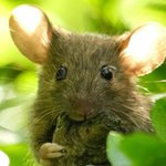 어제 학원에서 흑엳사 또 생성