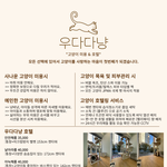 고양이 미용실