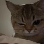 [드루와] 예뻐지고 싶은 판녀들아 드루와봥