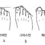 너네 발<b>모양</b> 이중에서 뭐임