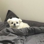 [19] 가슴 <b>b</b>컵인 <b>사람</b> 있음? 들어와바