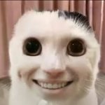 아니 반 남자애가 나 꼽 <b>개줌</b>