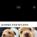 [댓글부탁해] 이거 내가 잘못한거임?