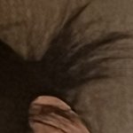 얘들아 <b>똥머리</b> 이거 왜이럼