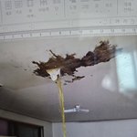 집 이렇게 됐는데 보상 받을 수 있을까요?