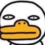 이<b>삼백</b> 버는애들은 양심적으로 퐁퐁남 걱정하지 마라