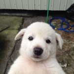 나 노래 취향 <b>혼종</b>임