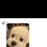 얘<b>드라</b> 차은우 말투가 왜이래