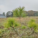 무럭무럭 자라렴~~