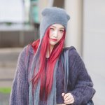 다이너마이트 조이의 시크 눈빛’ (<b>동물</b>농장 출근길) [HD포토]