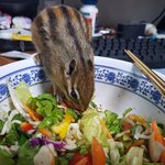 이거 <b>무좀</b>인가 띠..ㅂ