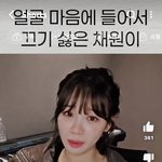 르세라핌 김채원도 하이브에서 <b>세뇌</b>시켰나봄