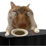 오늘 흑역사 하나 <b>생성</b>함....