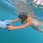 [<b>회사</b>생활댓] '이혼→결별→<b>새</b>출발' 황정음, 살 쪽 빠졌네…비키니...