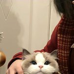 나 성인되고 이상한 정신병 걸려서 아이돌 못좋아하게됨..;;