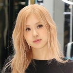 [단독]'<b>APT</b>.' 비난 NO.. 로제, 말레이 정부 루머 해프닝→美빌보드...