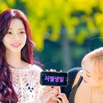 에스파(<b>Aespa</b>),'카리나와 생일 지젤의 핑크빛 애정' [O!...