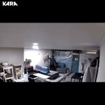 [고양이] 사무실까지 들어와 4시간동안 고양이를 폭행한 살인자