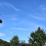 [방탈죄송] 추가)공사 현장에서 한옥 숙박하고 블랙컨슈머됐어요