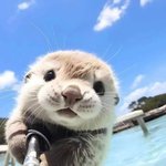 수요일 <b>업무</b> 종료