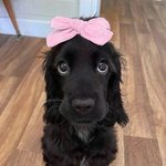 [댓글부탁해] 아빠가 <b>세무</b>서장퇴직하고 세무사면