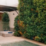 [발리여행] [발리여행기 2탄] 발리 <b>도보</b> 탐험기: 매력적인 순간들을...