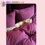 <b>재민</b> 침실 못들어오게막았네