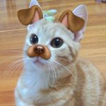 파리바게트 알바 세<b>달차</b> 질문받음