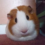 [댓글부탁해] <b>동사</b>생윤 vs 사문생윤