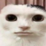 이짤 너무 <b>불쾌</b>해