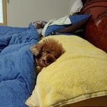 도대체 <b>밤새</b> 뭐했길래