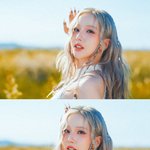 비<b>비지</b> 이번에 대박나는게 확실한 이유