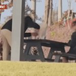 공원테이블에서 개털깎는 <b>개빠</b>
