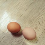 여자의 인생