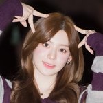 스테이씨 세은, ‘고양이보다 더 고양이 같은 품종묘 비주얼’ (배성재의...