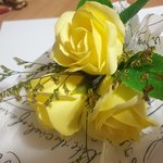 노오란 <b>튤립</b>