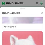 울 강쥐 찾았어요.