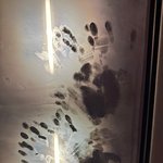 [댓글부탁해] (사진) 차량 조수석 안쪽에 찍힌 <b>손자국</b>