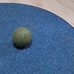 나의 동거묘 <b>도칠</b>이 새로운 장난감?? 무서워함.