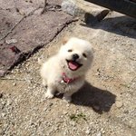 대학 전형 조카 <b>적폐</b>같음