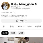 이 고양이 <b>울음</b>소리 왜 응애임??